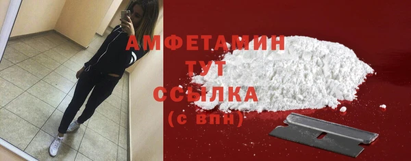 индика Бородино