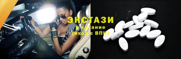 индика Бородино