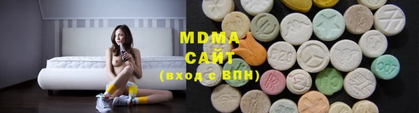 индика Бородино