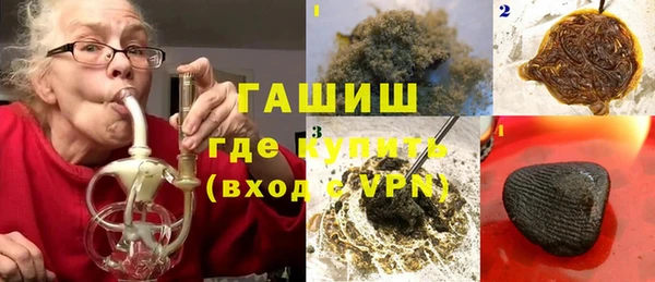 индика Бородино