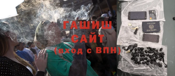 индика Бородино