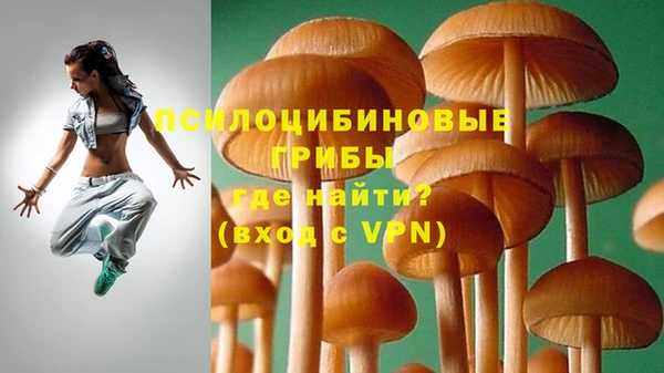 mdpv Бугульма